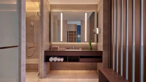 HYATT REGENCY2
